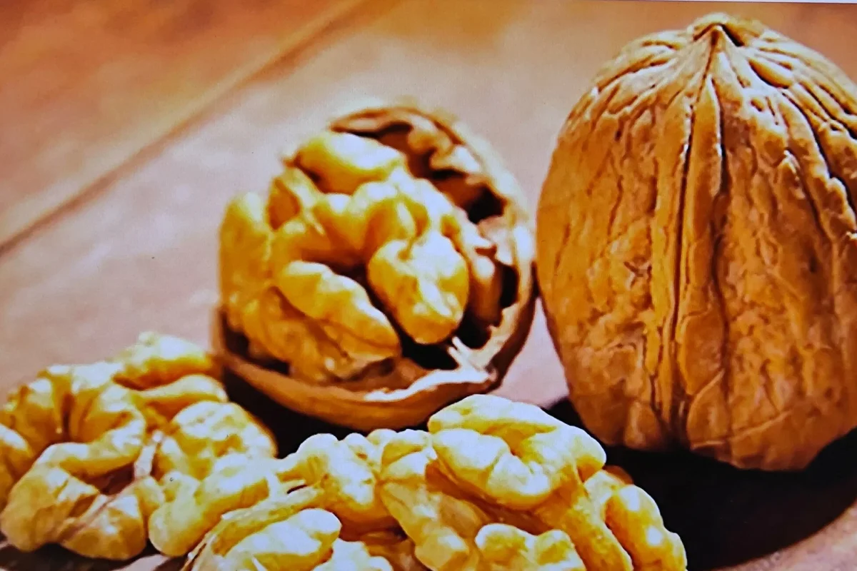 walnuts